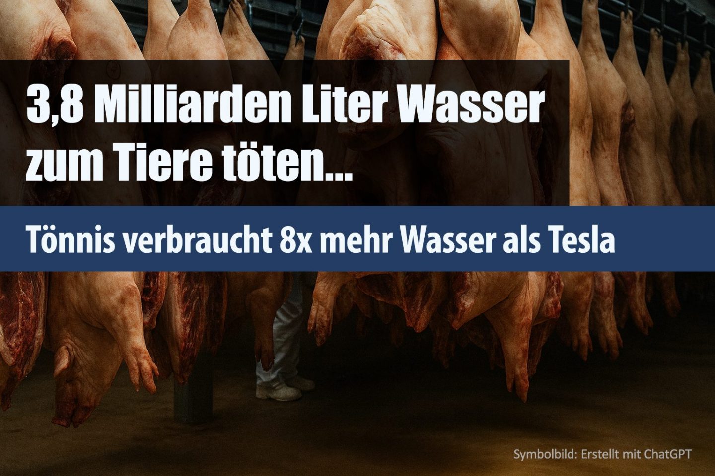 3,8 Milliarden Liter Wasser zum Tiere töten