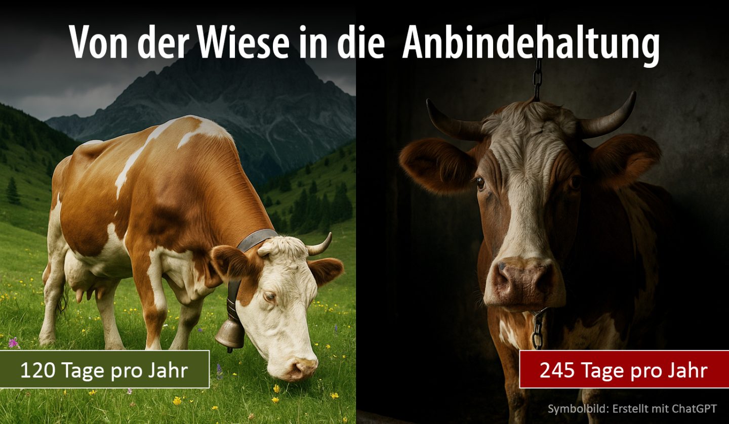 Butter ist klimaschädlich: Bio-Extensivhaltung vs. Massenhaltung