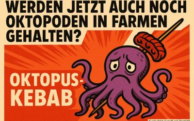 Oktopus-Kebab als Lebensmitteltrend: Wird es bald Oktopus-Farmen geben?