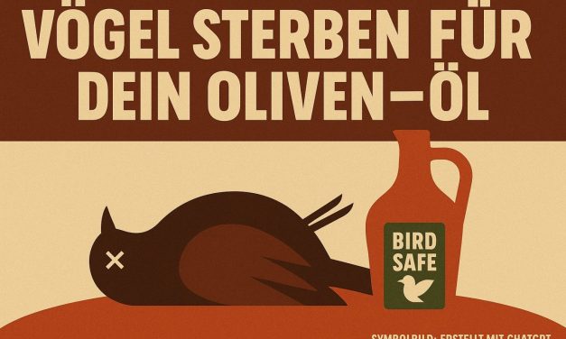 Wenn Olivenöl Leben kostet – Zugvögel sterben bei der Ernte