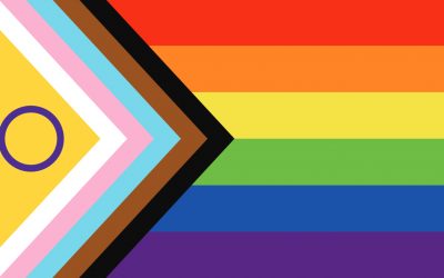 Was bedeuten die Farben der Flaggen? LGBTQIA+ & Disability Pride Flag
